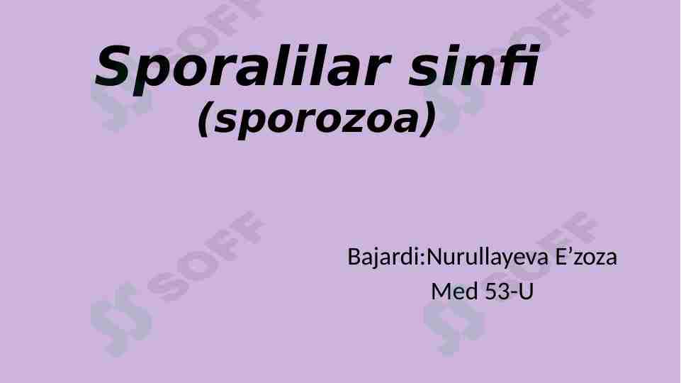 Sporalilar sinfi