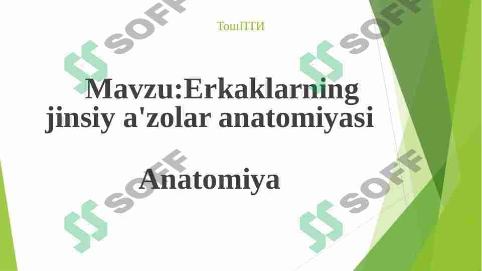Erkaklarning jinsiy aʼzolari anatomiyasi