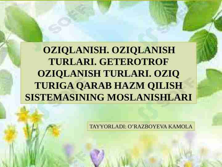 Oziqlanish. Oziqlanish turlari