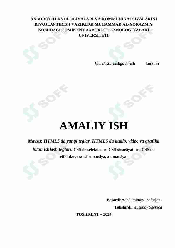 HTML5 da yangi teglar. HTML5 da audio, video va grafika bilan ishlash teglari. CSS da selektorlar. CSS xususiyatlari. CSS da effektlar, transformatsiya, animatsiya.