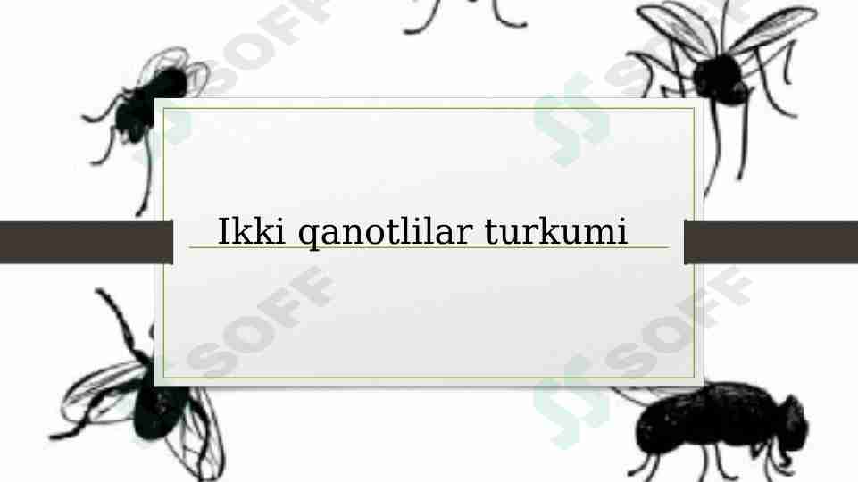 Ikki qanotlilar turkumi haqida.
