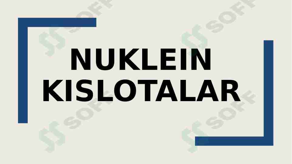 Nuklein kislotalar