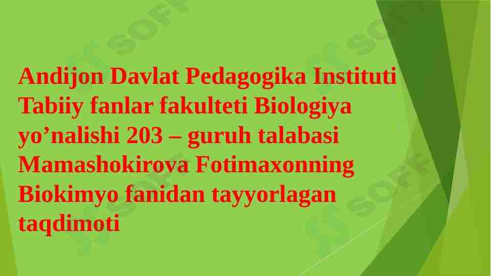 Uglevodlar, Polisaxaridlar va ularning ahamyati