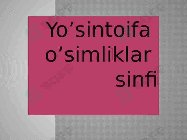 Yoʻsintoifa sinfi