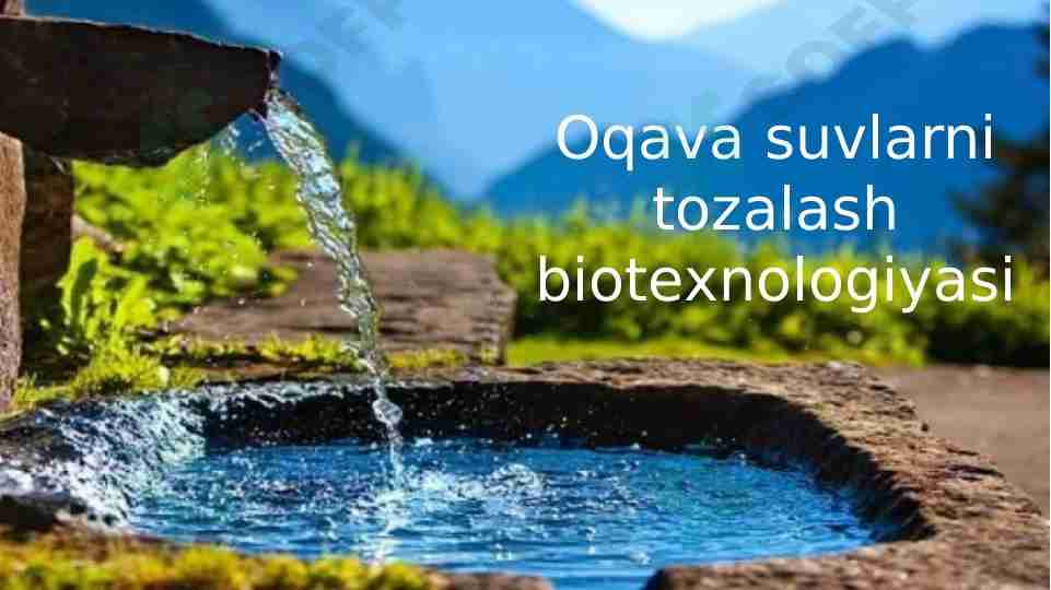 Oqava suvlarni tozalash biotexnologiyasi