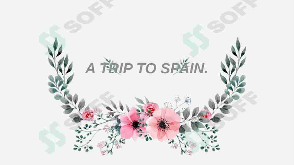 A TRIP TO SPAIN.