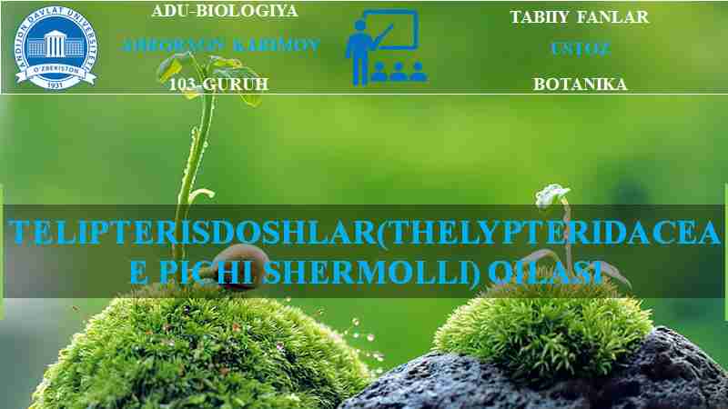 TELIPTERISDOSHLAR(THELYPTERIDACEAE PICHI SHERMOLLI) OILASI