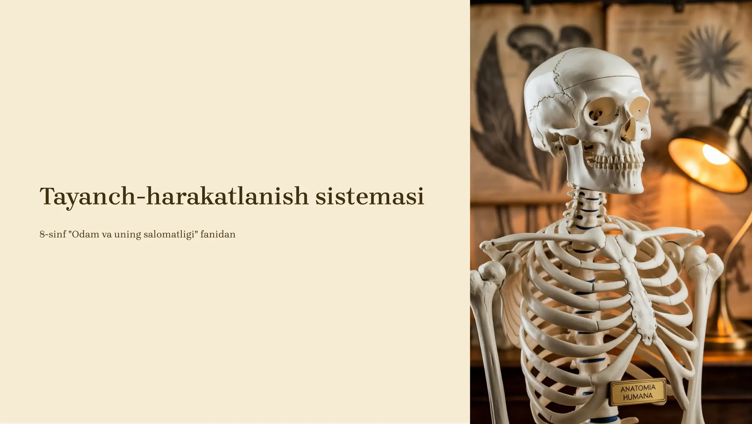 Tayanch-harakatlanish sistemasi