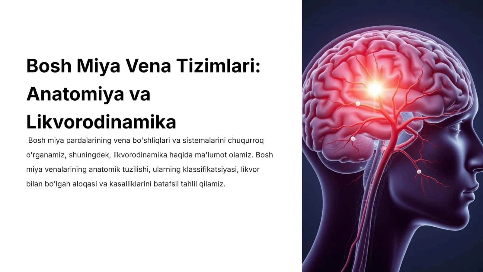 Bosh Miya Vena Tizimlari