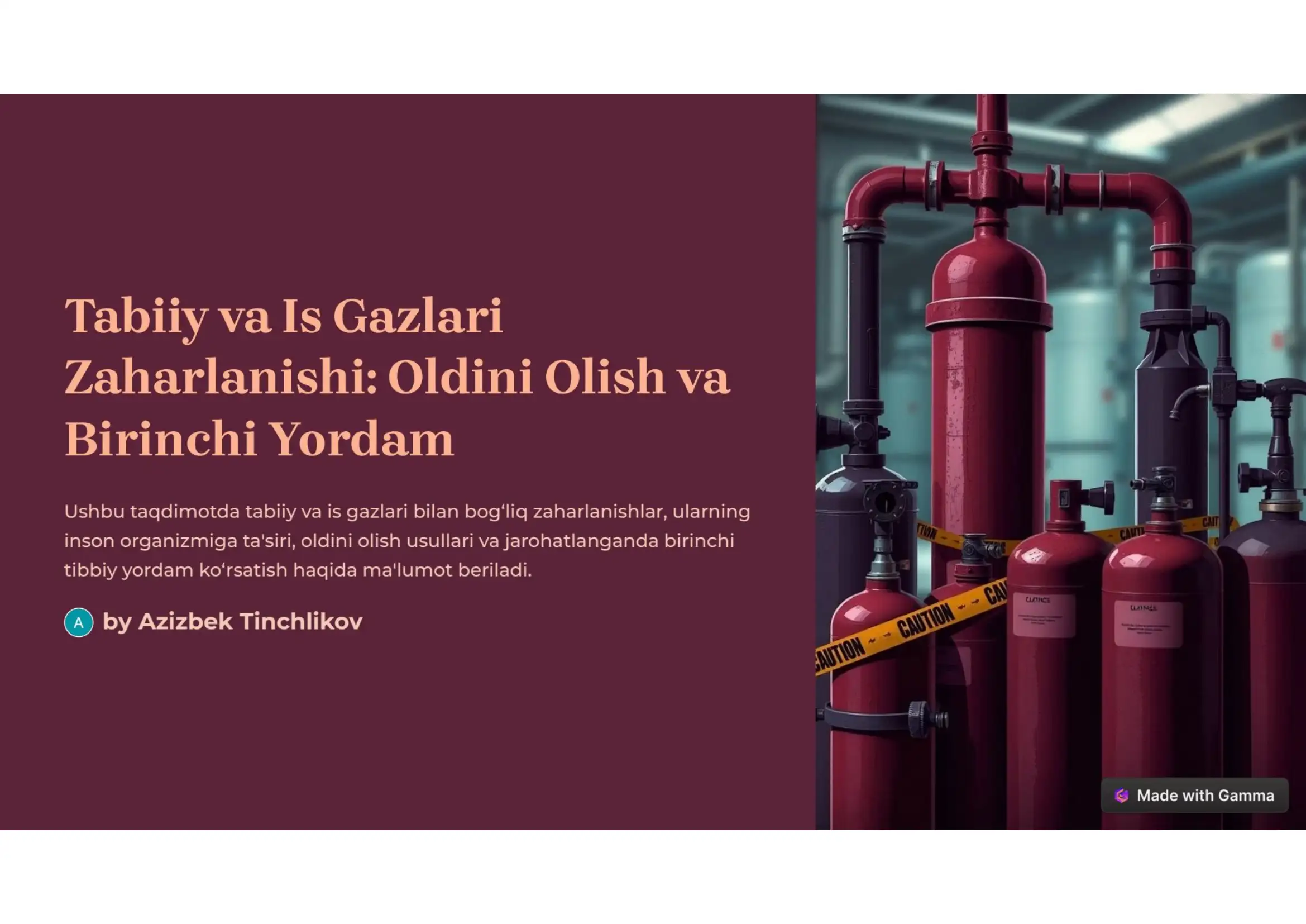 Tabiiy va is gazi. Oldini olish va birinchi yordam