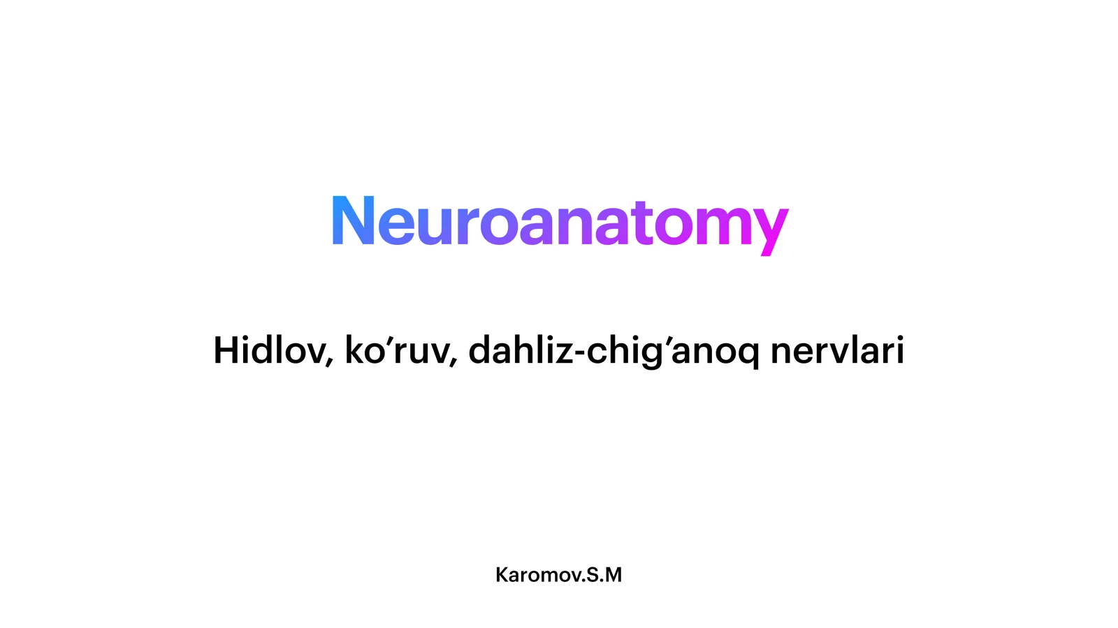 Neuroanatomy