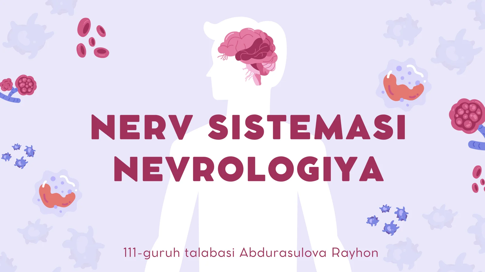 Nerv sistemasi