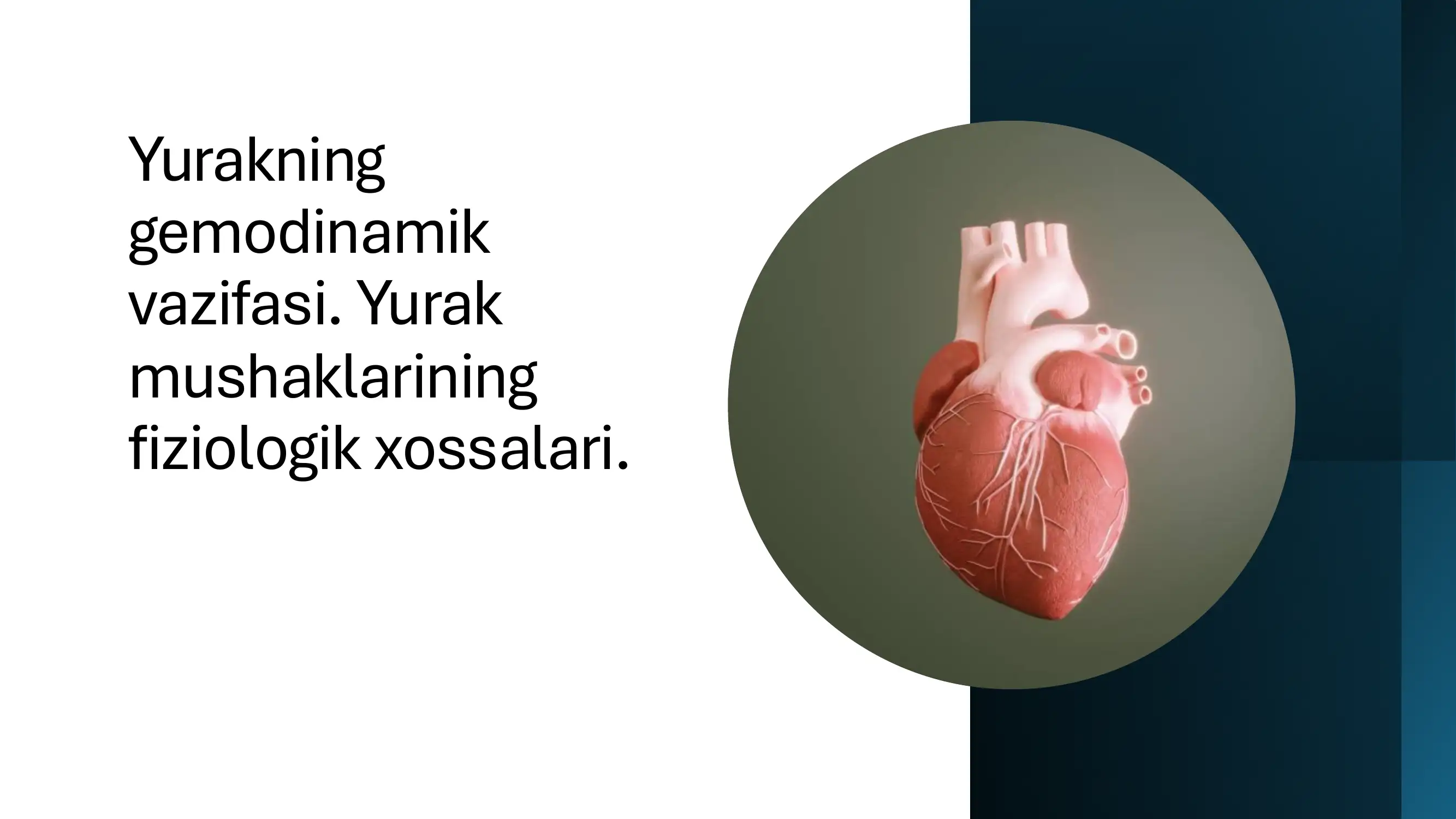 Yurakning gemodinamik vazifasi. Yurak mushaklarining fiziologik xossalari._