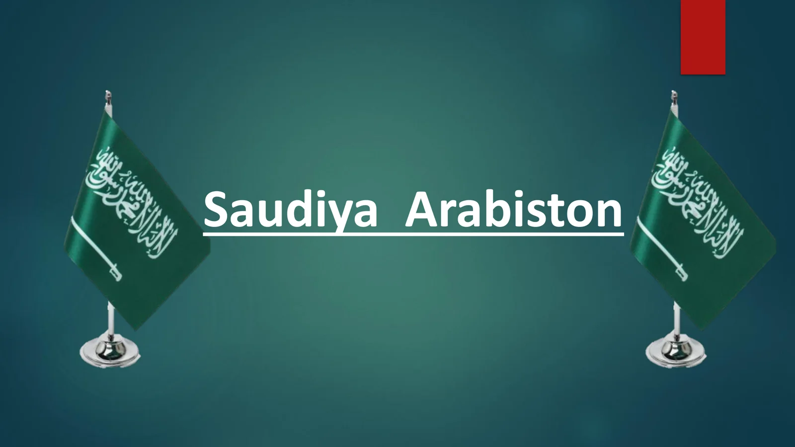 Saudiya Arabistoni davlat byudjeti tizimi
