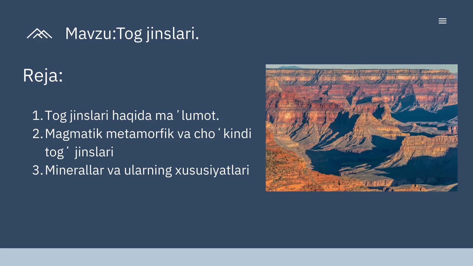 Tog' jinslari