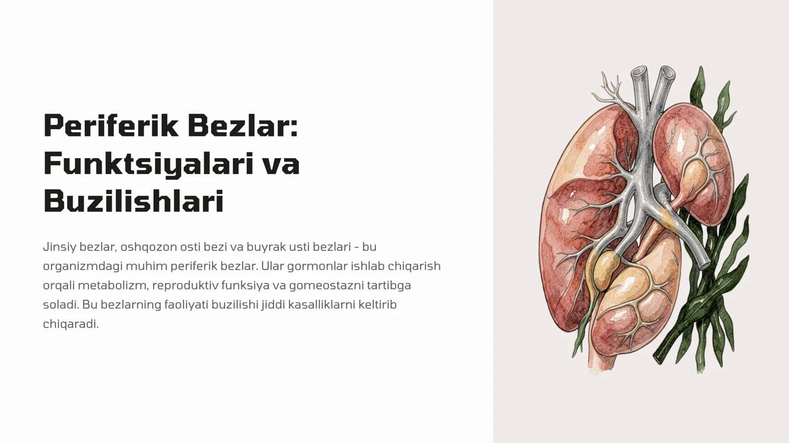 Periferik Bezlar: Funktsiyalari va Buzilishlari
