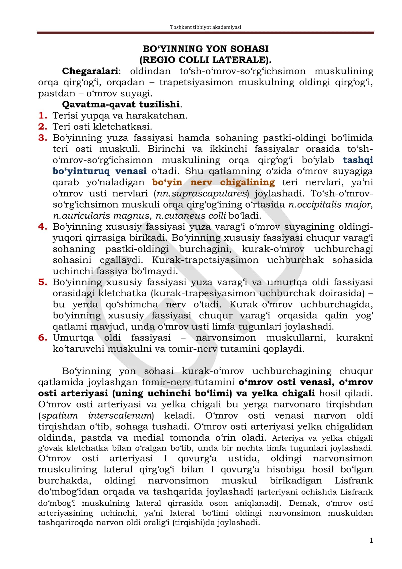 BO‘YINNING YON SOHASI (REGIO COLLI LATERALE)