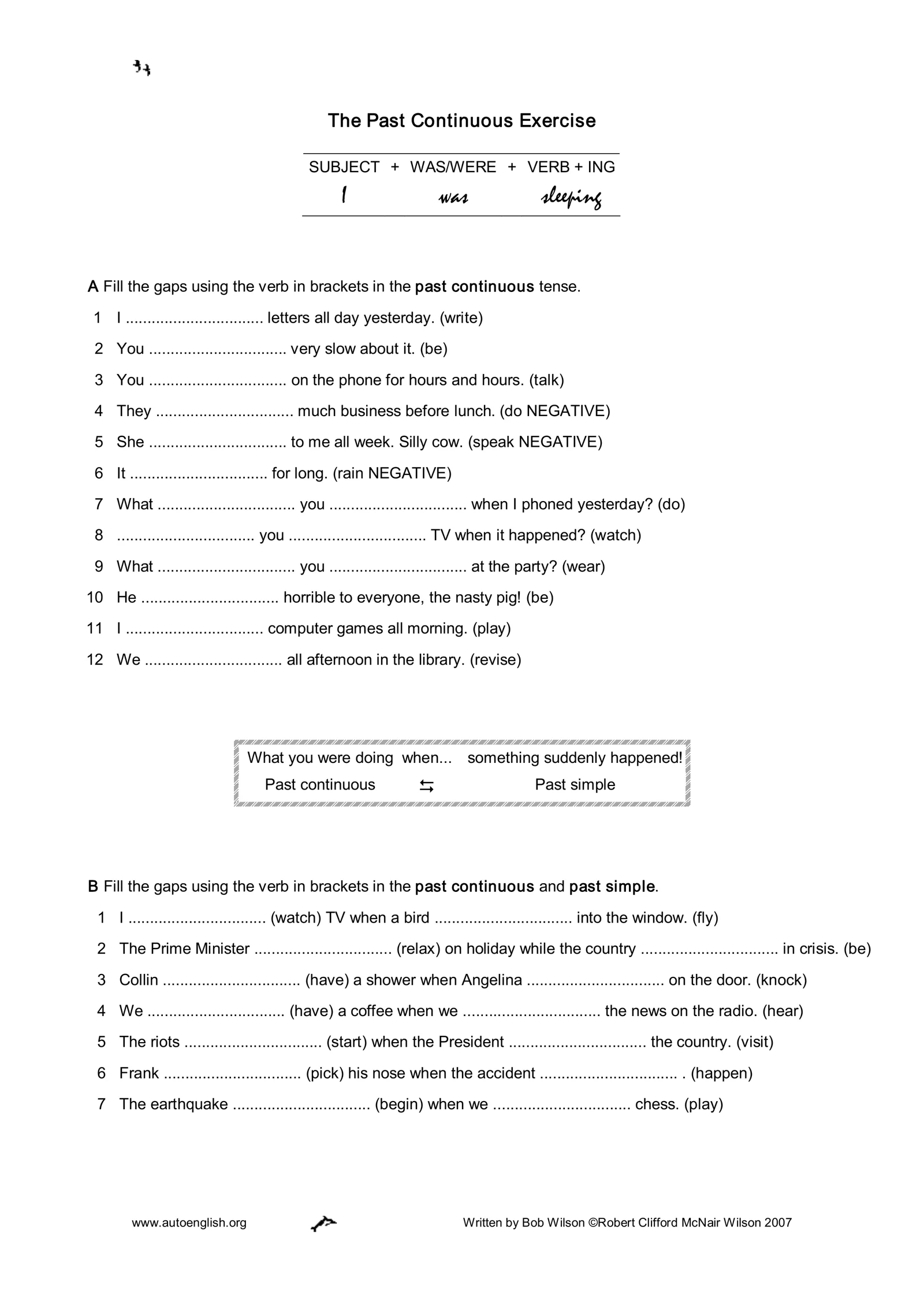 The Past Continuous Exercise