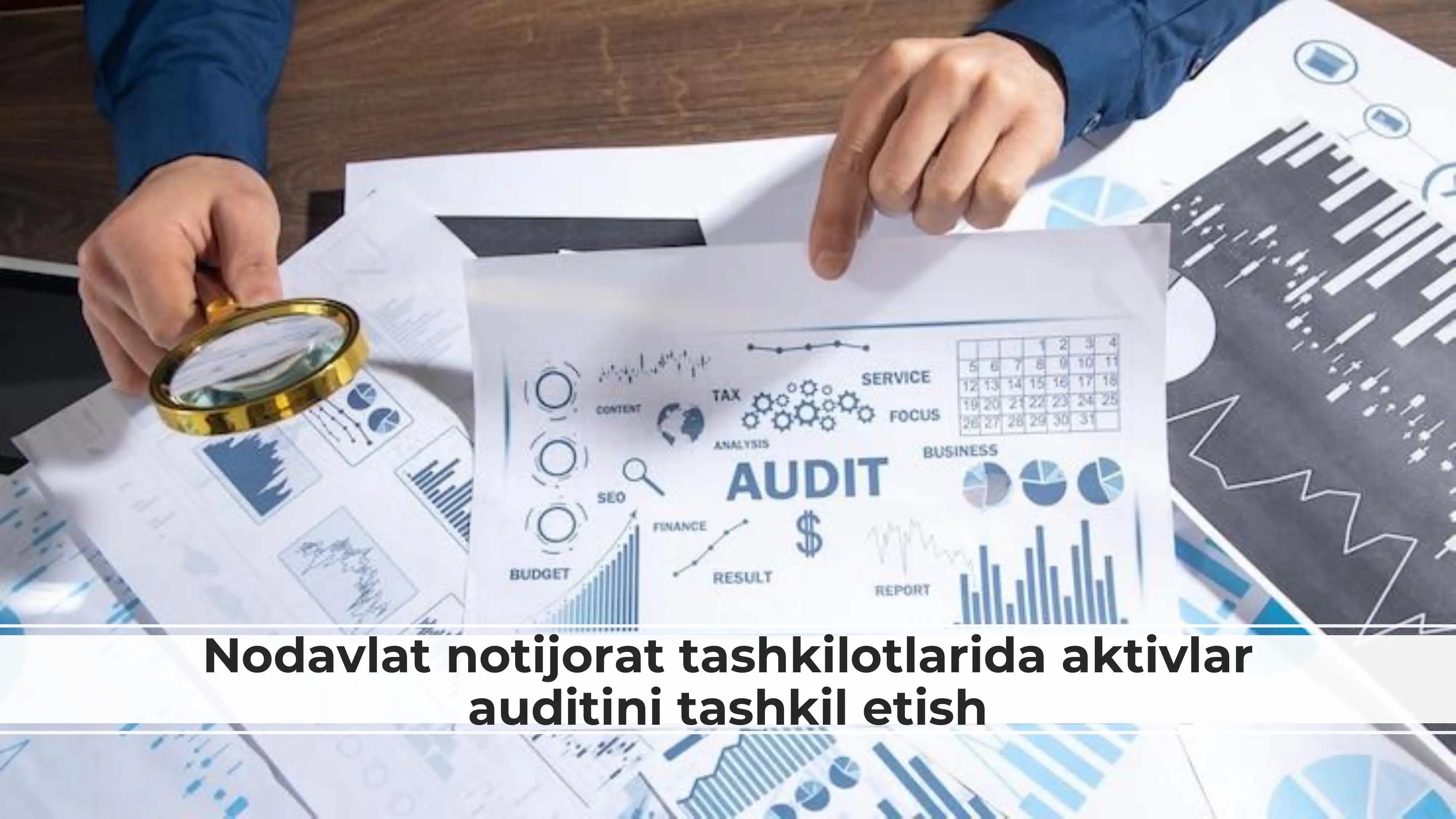 Nodavlat notijorat tashkilotlarida aktivlar auditini tashkil etish