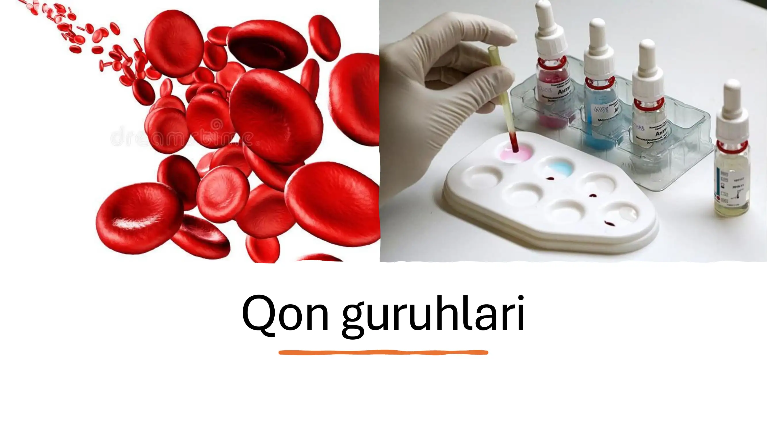 qon guruhlari