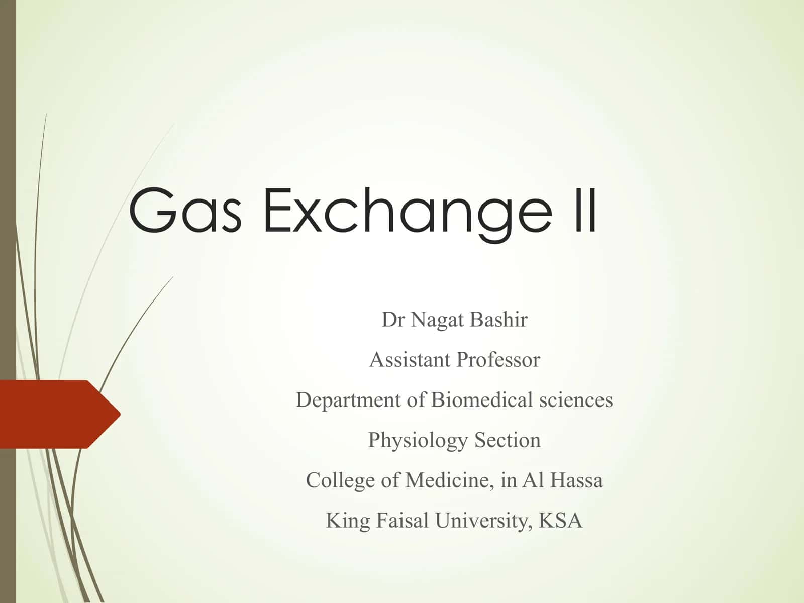 Gas Exchange II