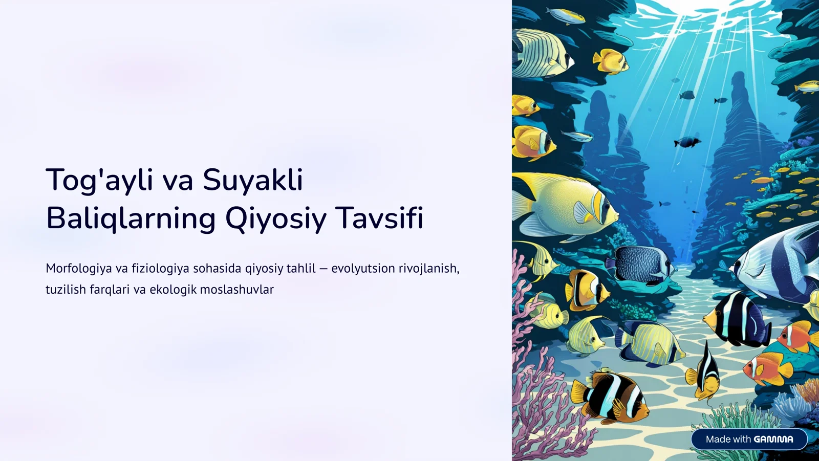 Baliqlarning Qiyosiy Tavsifi