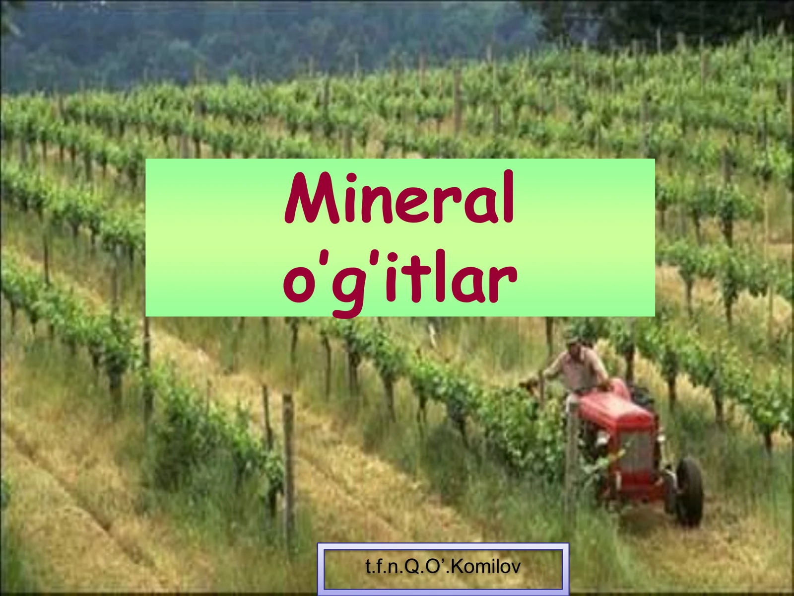Mineral o’g’itlar