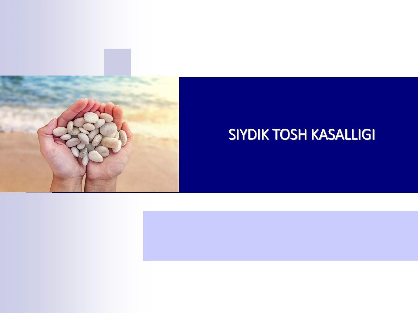 SIYDIK TOSH KASALLIGI