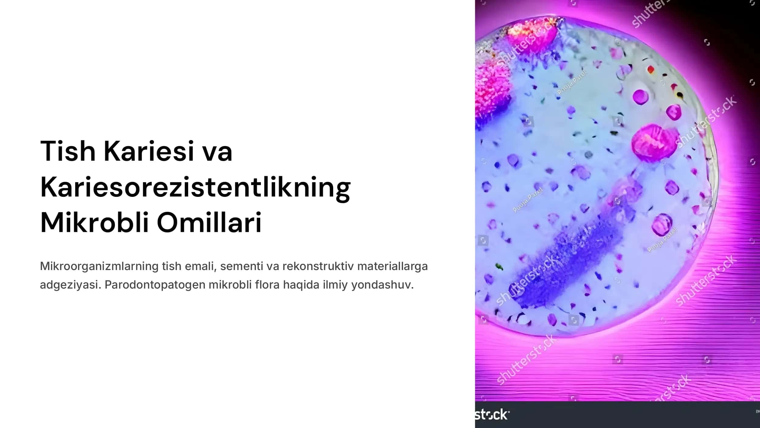 Tish kariesi va  kariesorezistentlikning  mikrobli omillari.  Mikroorganizmlarning  tish emali, sementi va  rekonstruktiv  materiallarga  adgeziyasi.  Parodontopatogen  mikrobli flora.