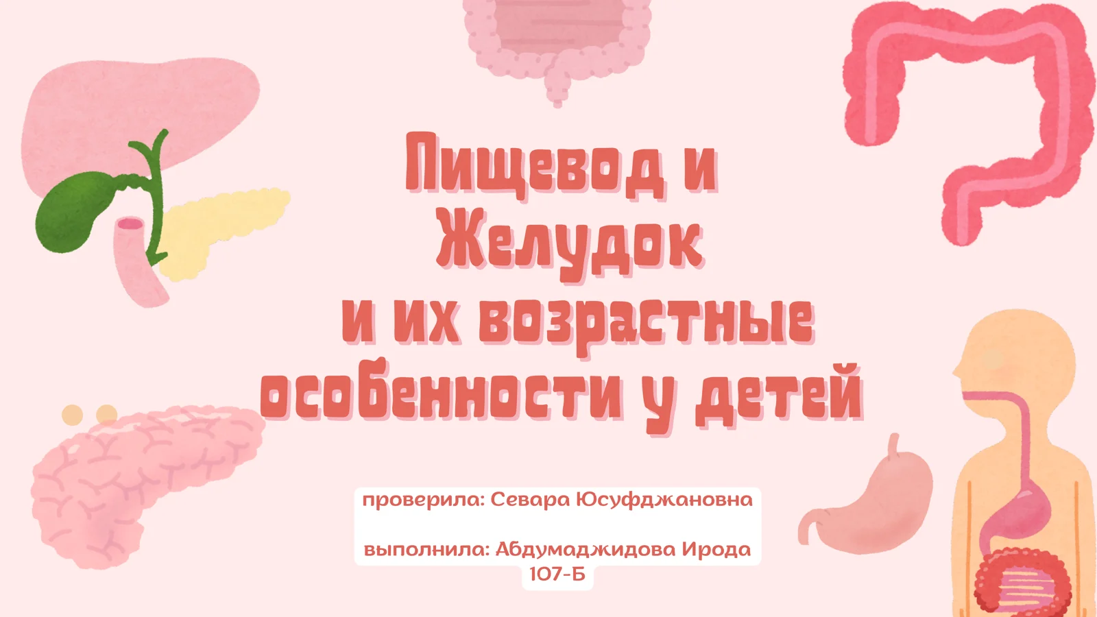 Пищевод и Желудок