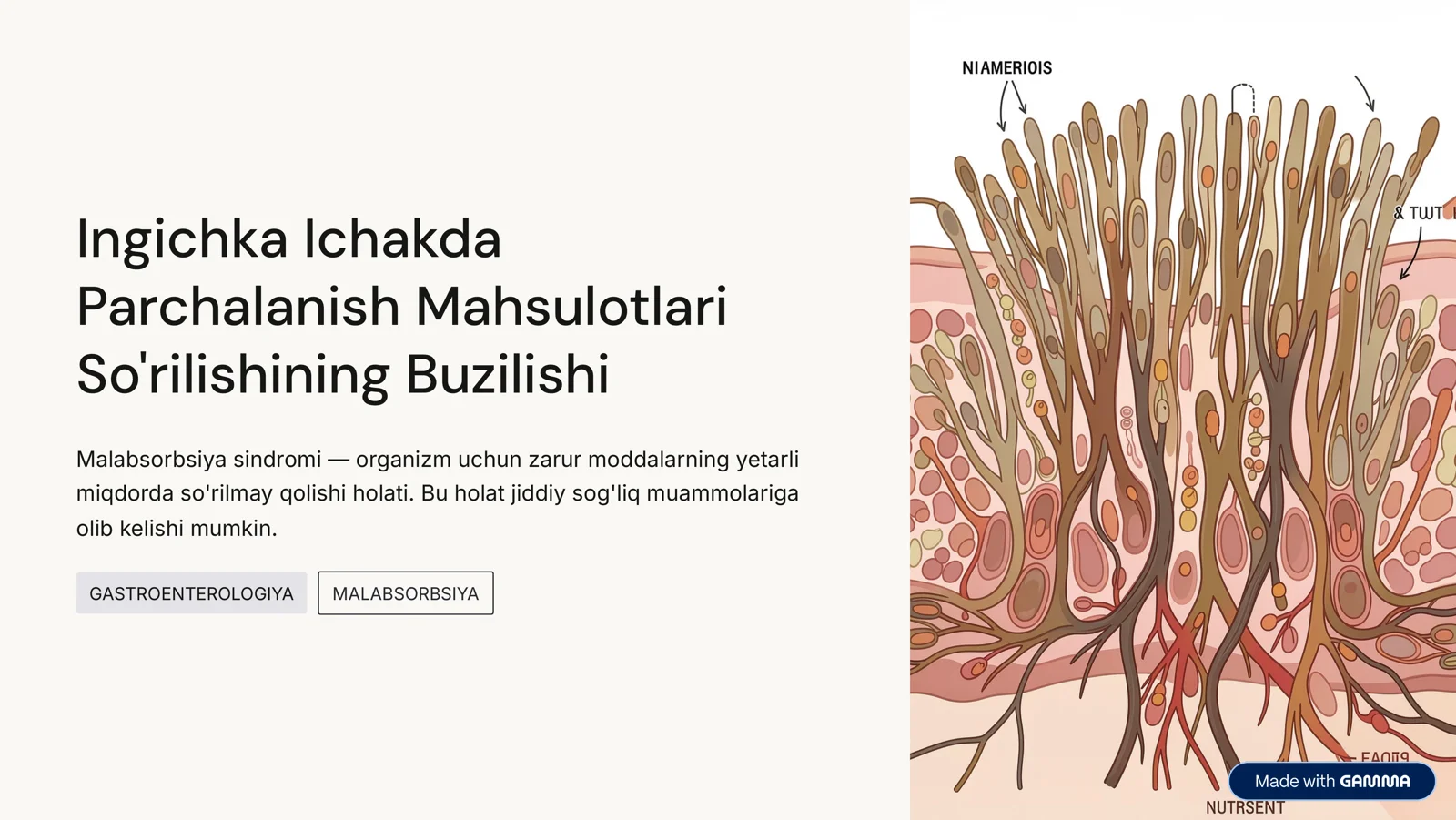 Ingichka Ichakda Parchalanish Mahsulotlari So'rilishining Buzilishi
