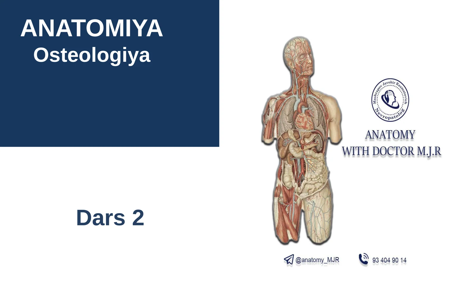 ANATOMIYA Osteologiya Dars 2