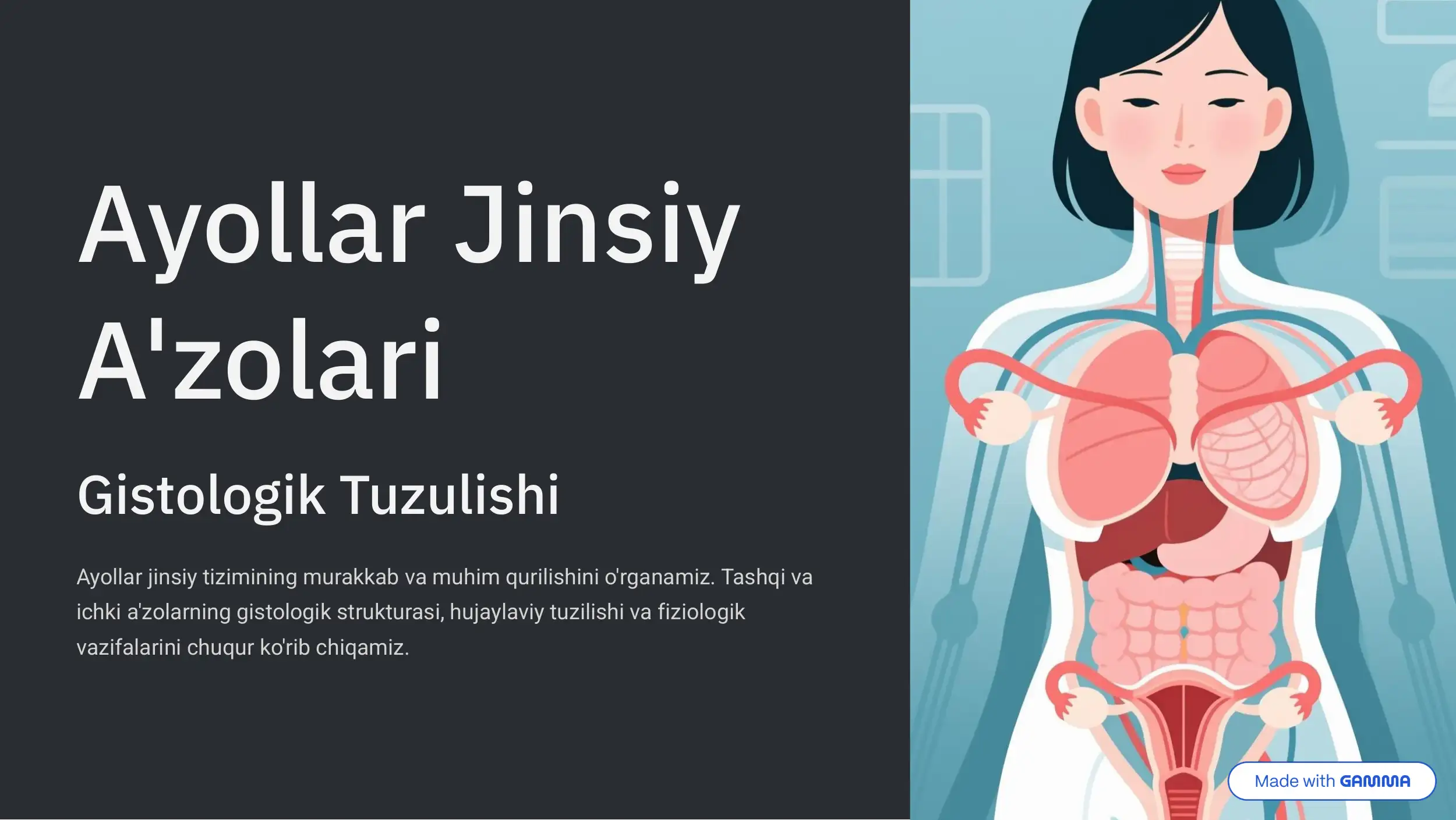 Ayollar Jinsiy A'zolari Gistologik Tuzulishi