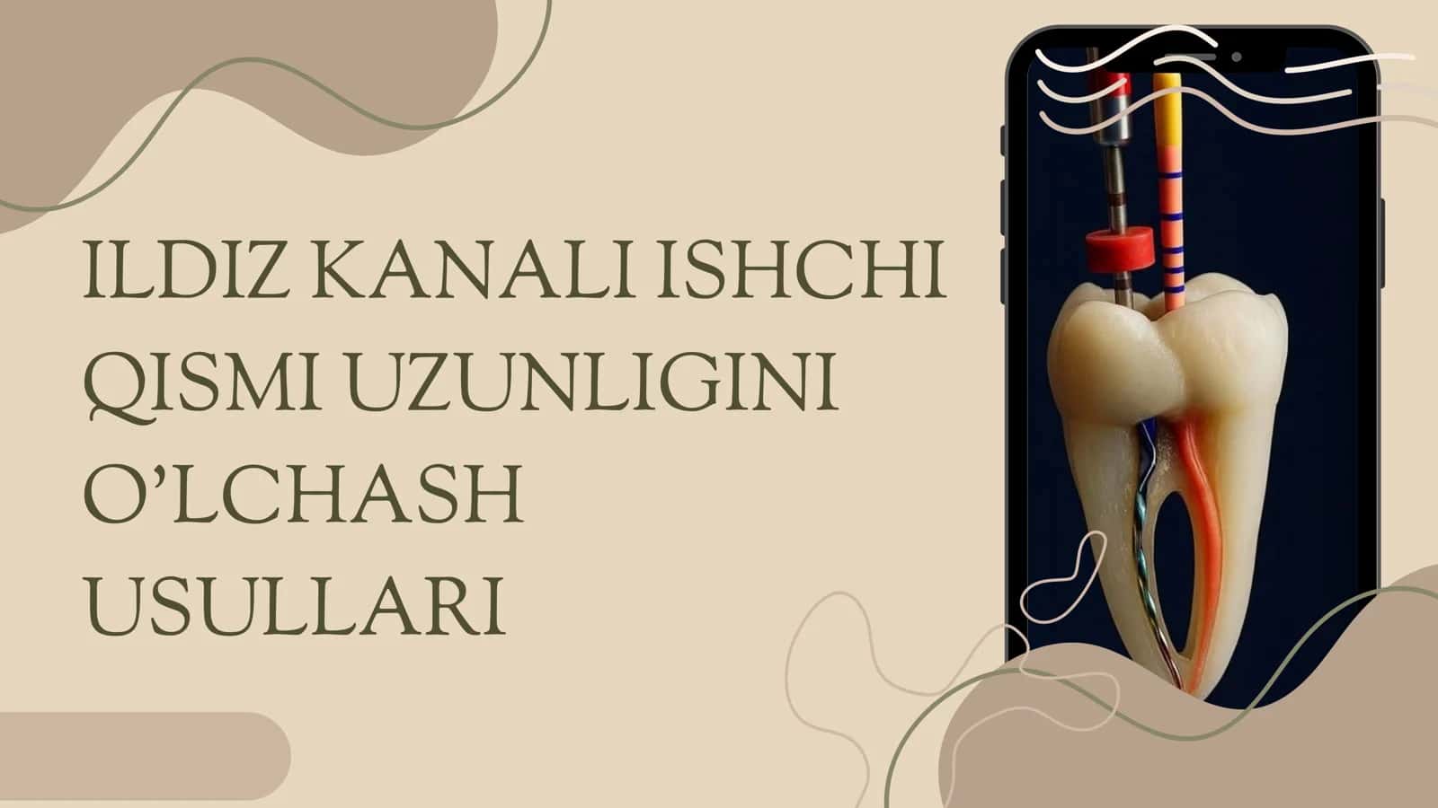 Ildiz kanali ishchi qismi uzunligini olchash usullari