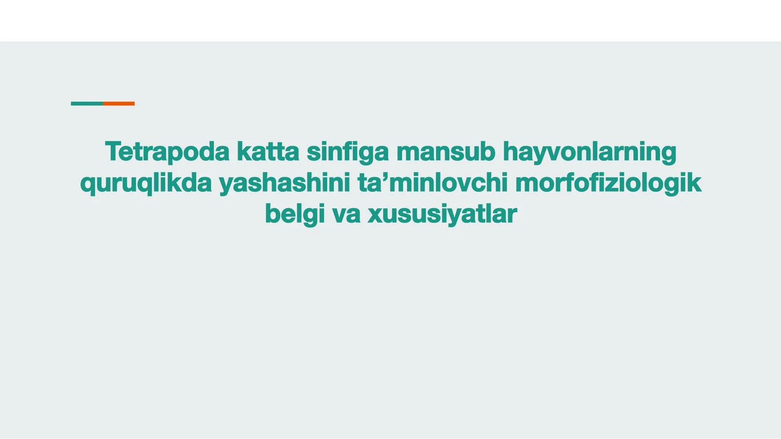 Tetrapoda katta sinﬁ