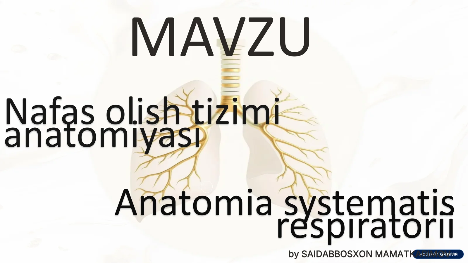 Nafas olish tizimi anatomiyasi
