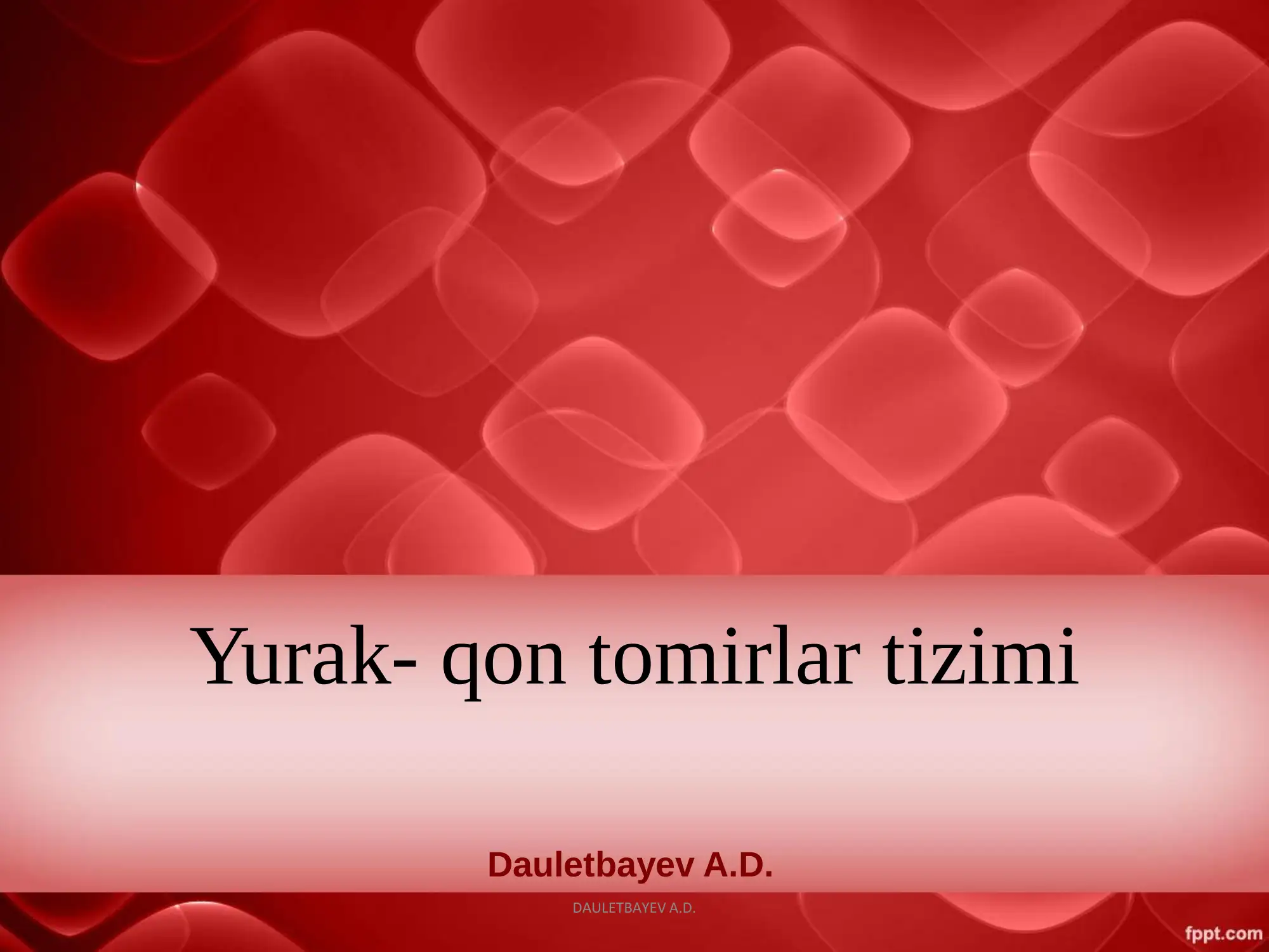 Yurak- qon tomirlar tizimi