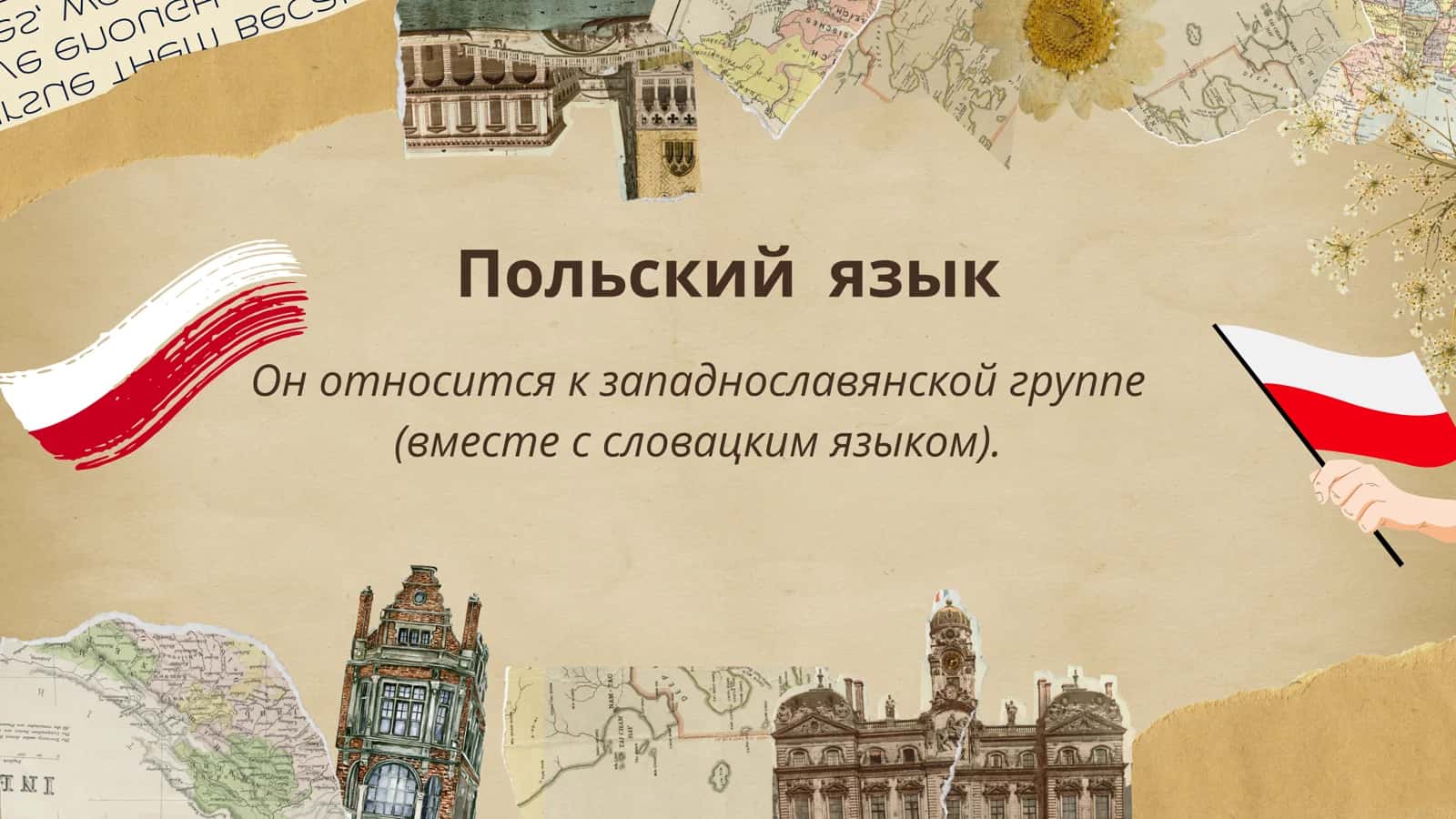 Польский язык