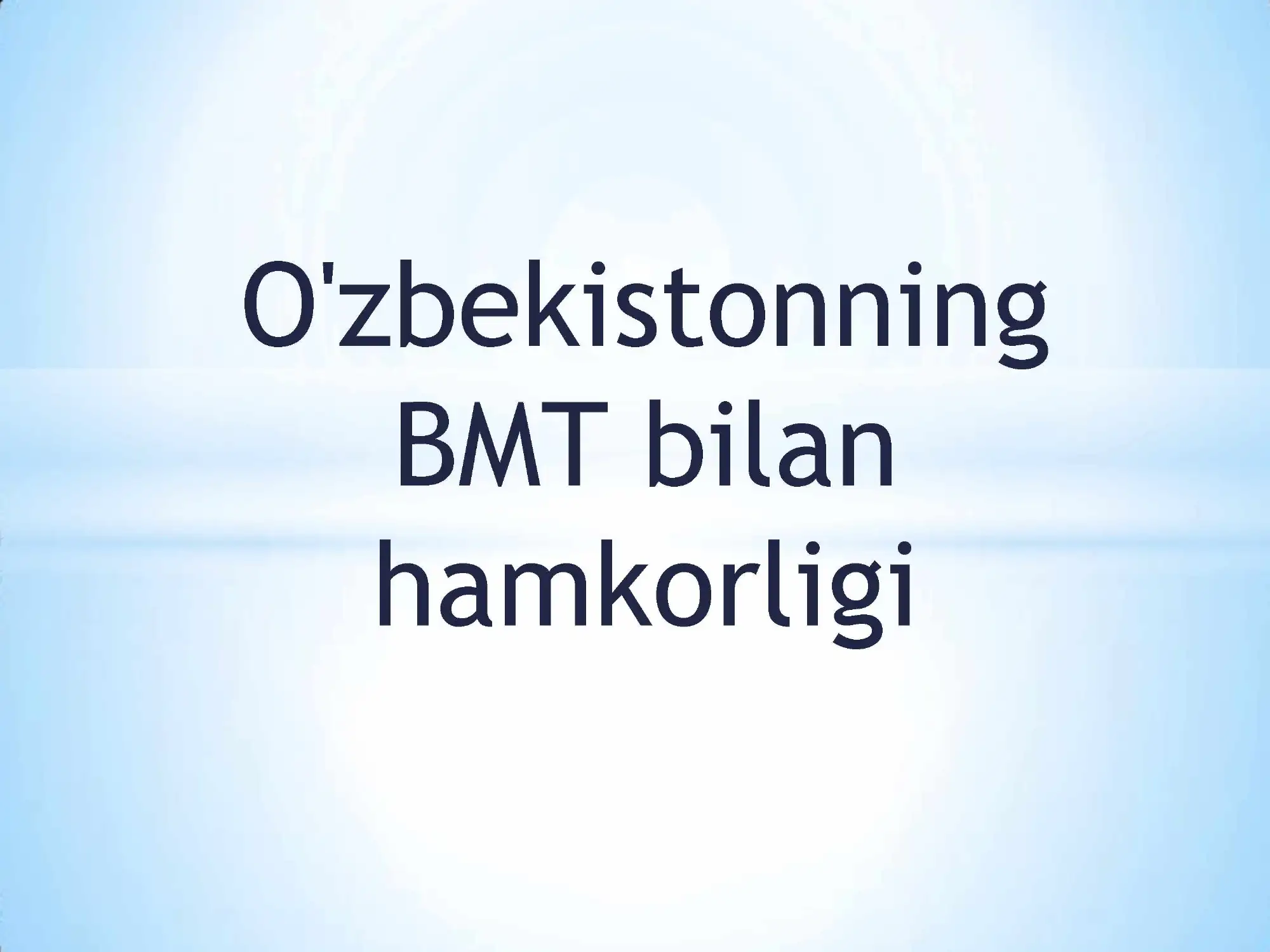 Birlashgan millatlar tashkiloti (BMT)