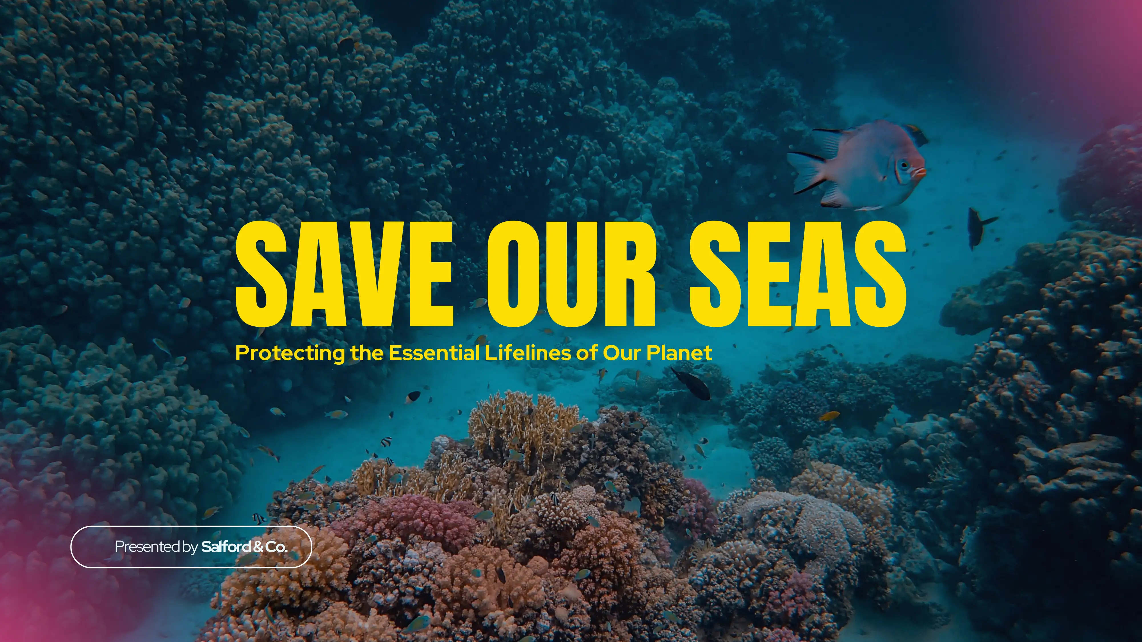 THE IMPACT OF OCEAN POLLUTION