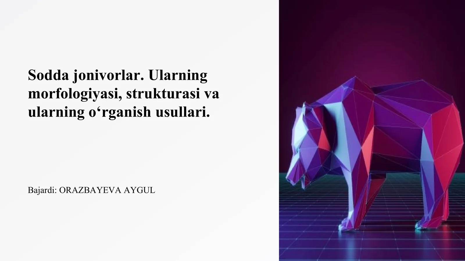 Sodda hayvonlar