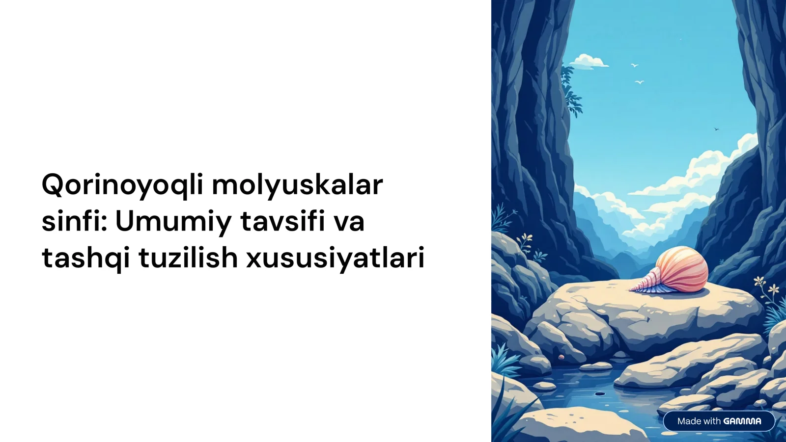Qorinoyoqli molyuskalar