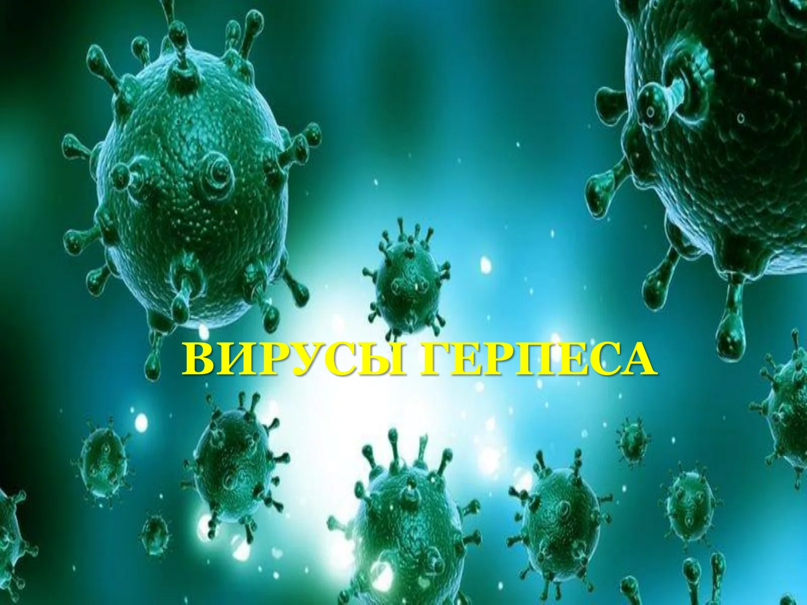 ВИРУСЫ ГЕРПЕСА