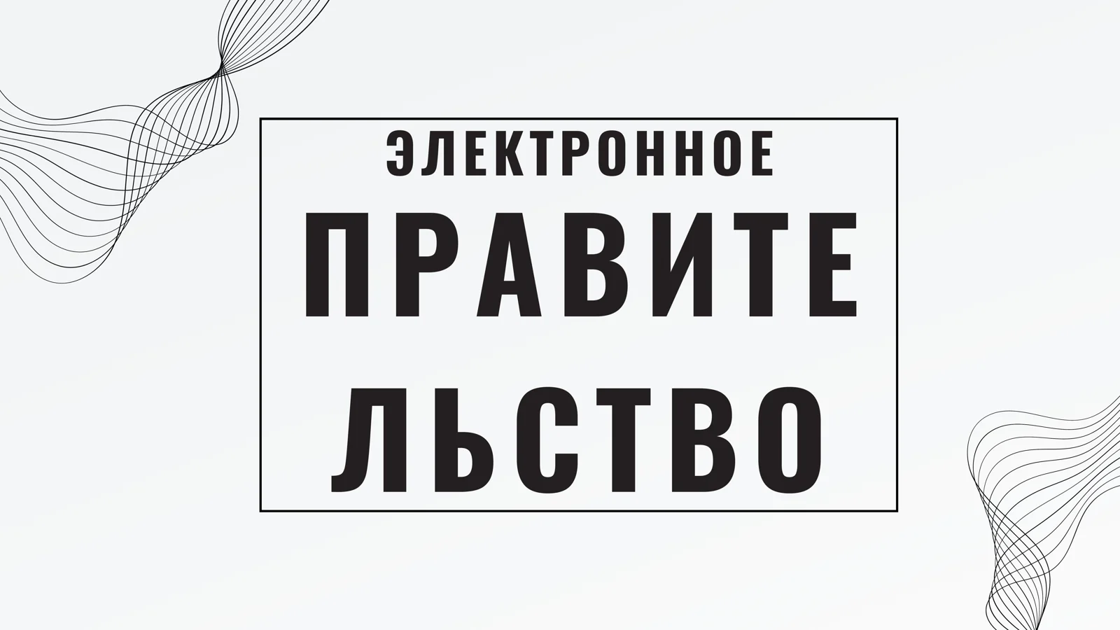ЭЛЕКТРОННОЕ ПРАВИТЕЛЬСТВО