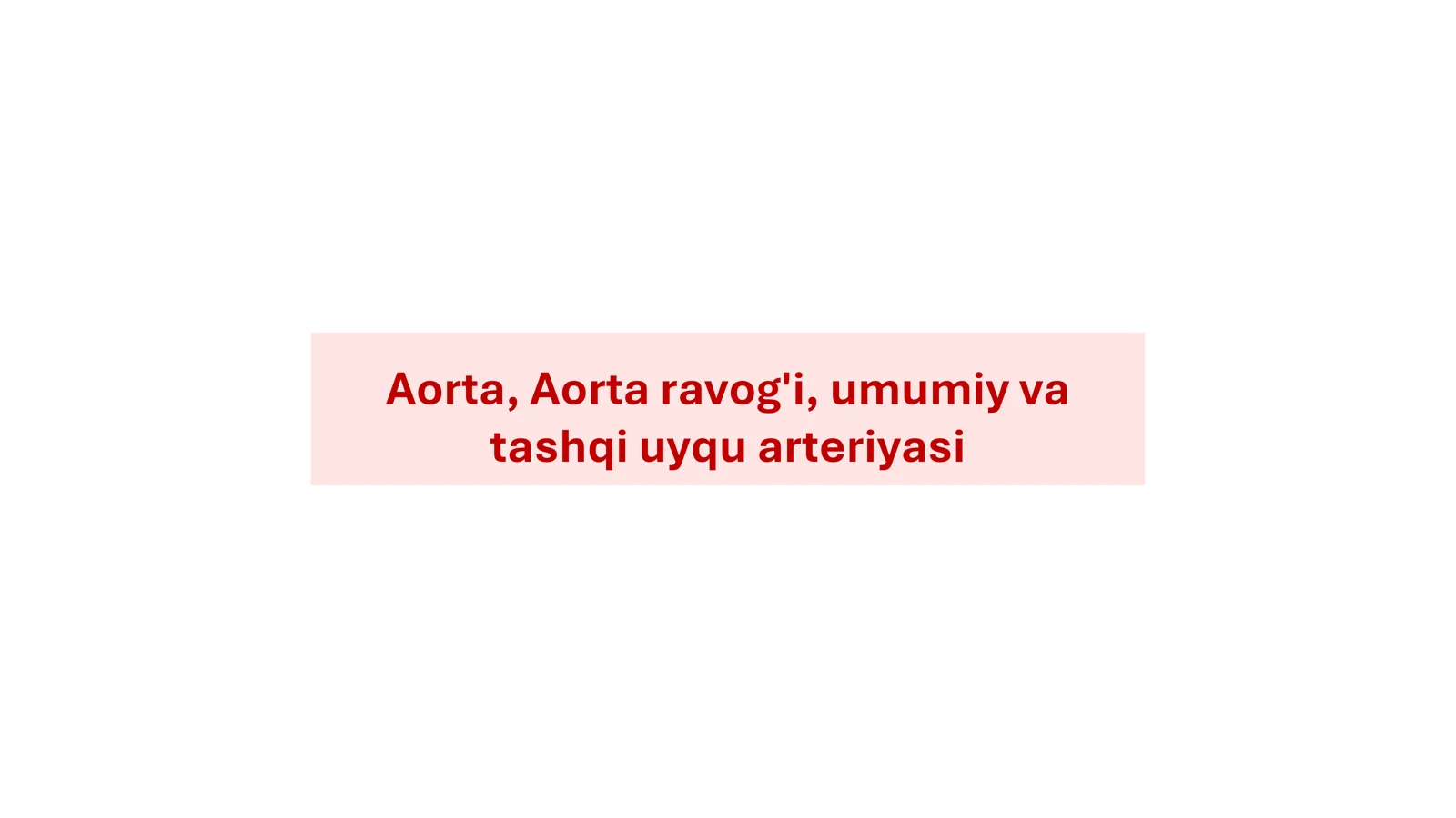 Aorta, Aorta ravogʻi anatomiyasi