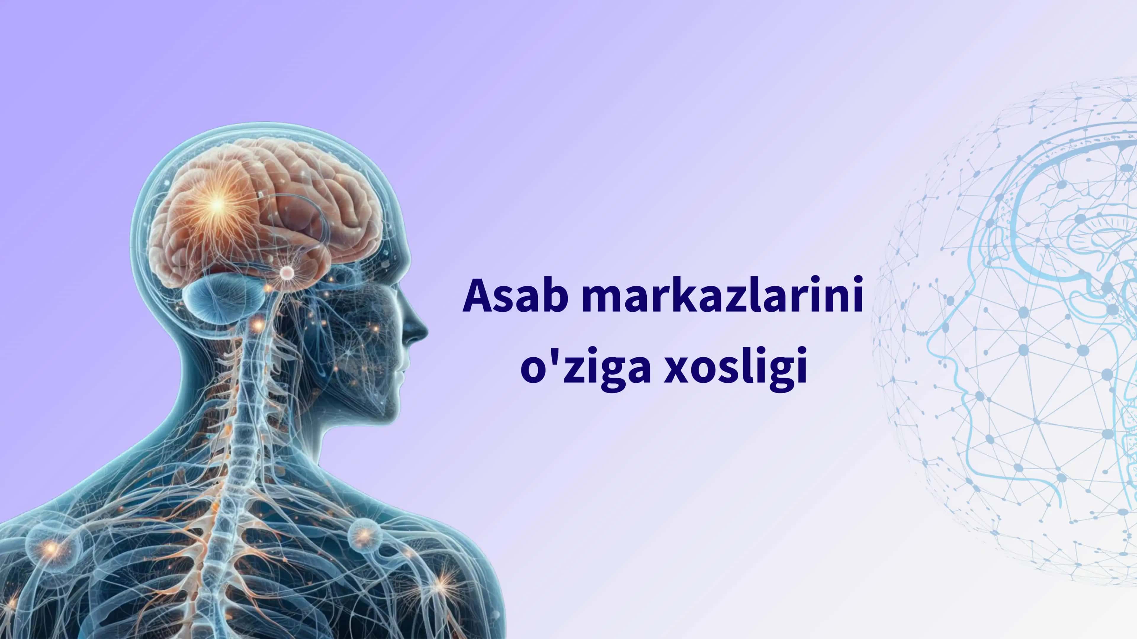 Asab markazlarini o'ziga xosligi