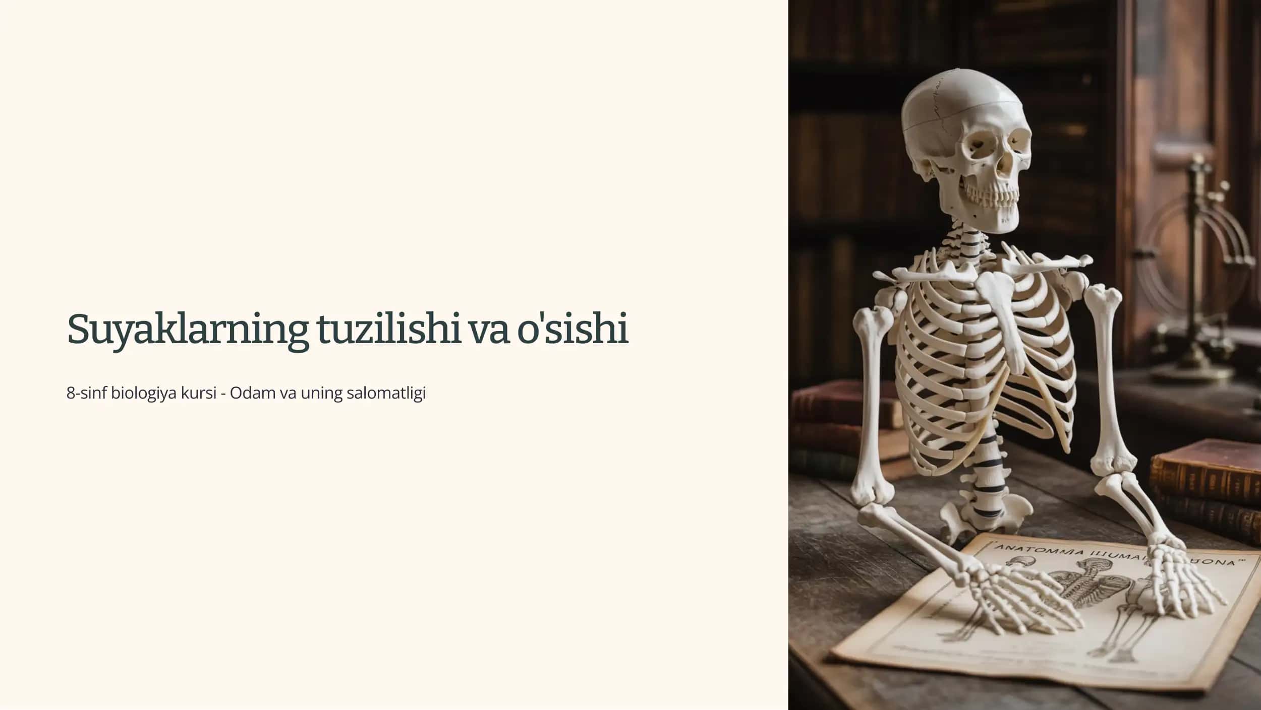 Suyaklarning tuzilishi va o'sishi
