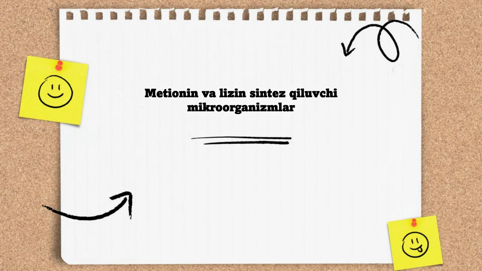 Metionin va lizin sintez qiluvchi mikroorganizmlar