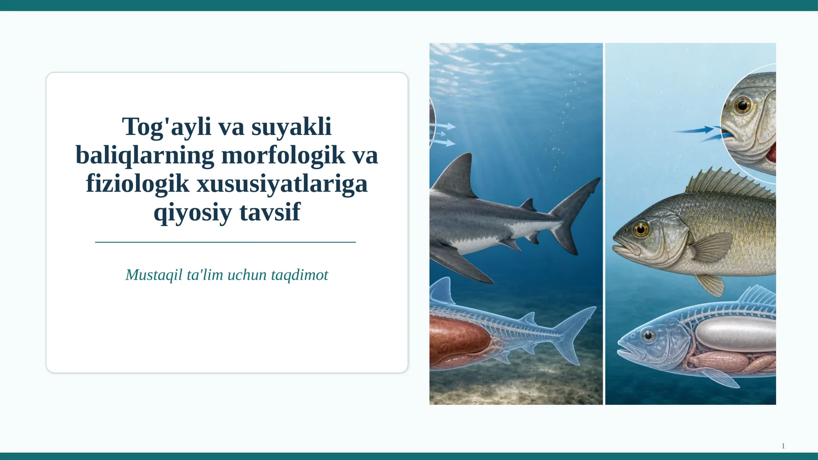 Baliq anatomiyasi va fiziologiyasi