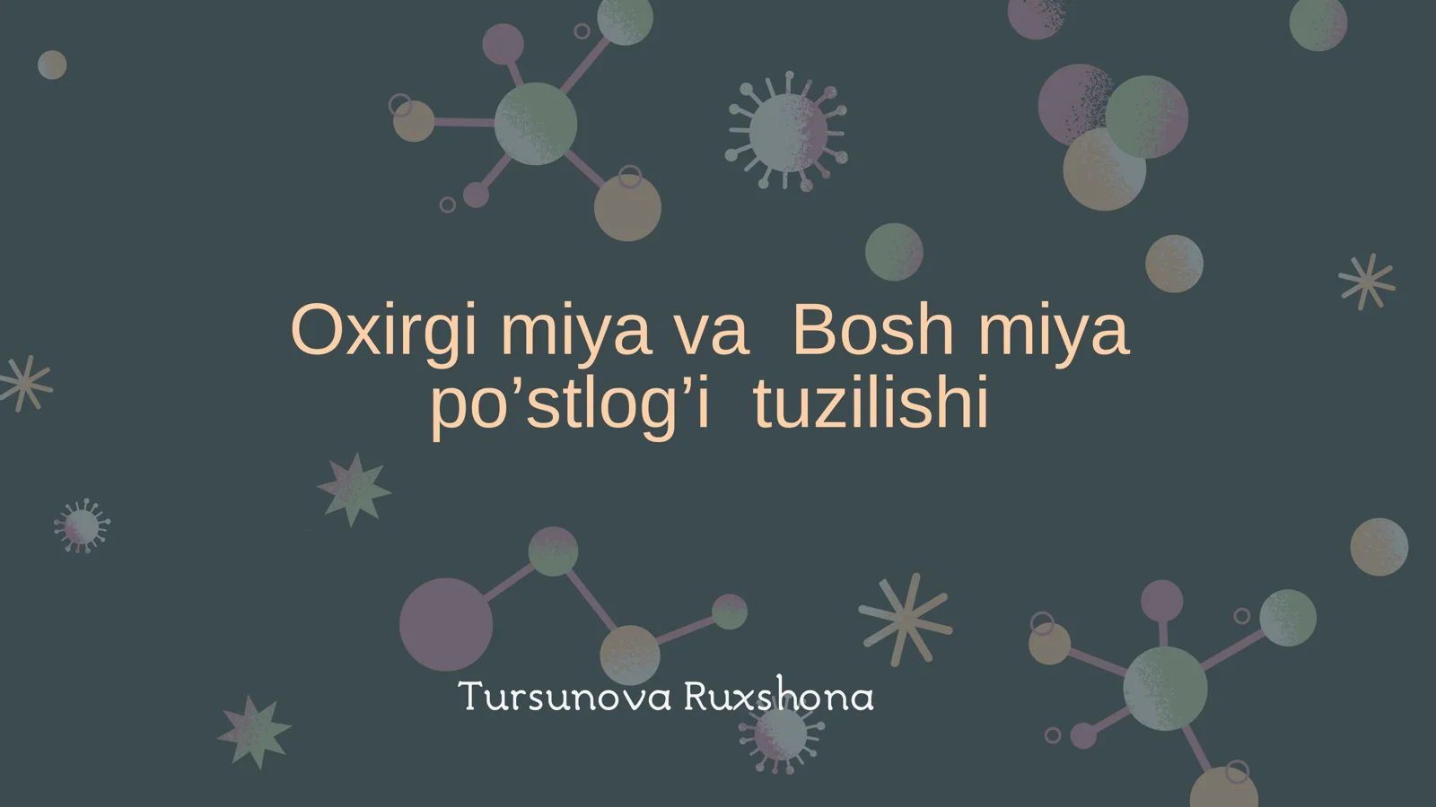 Oxirgi miya va Bosh miya